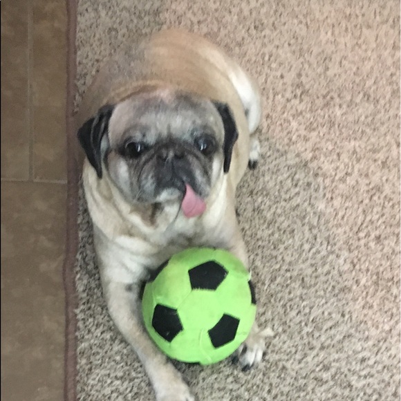 Meet your Posher, Stephanie - Picture 2 of 10